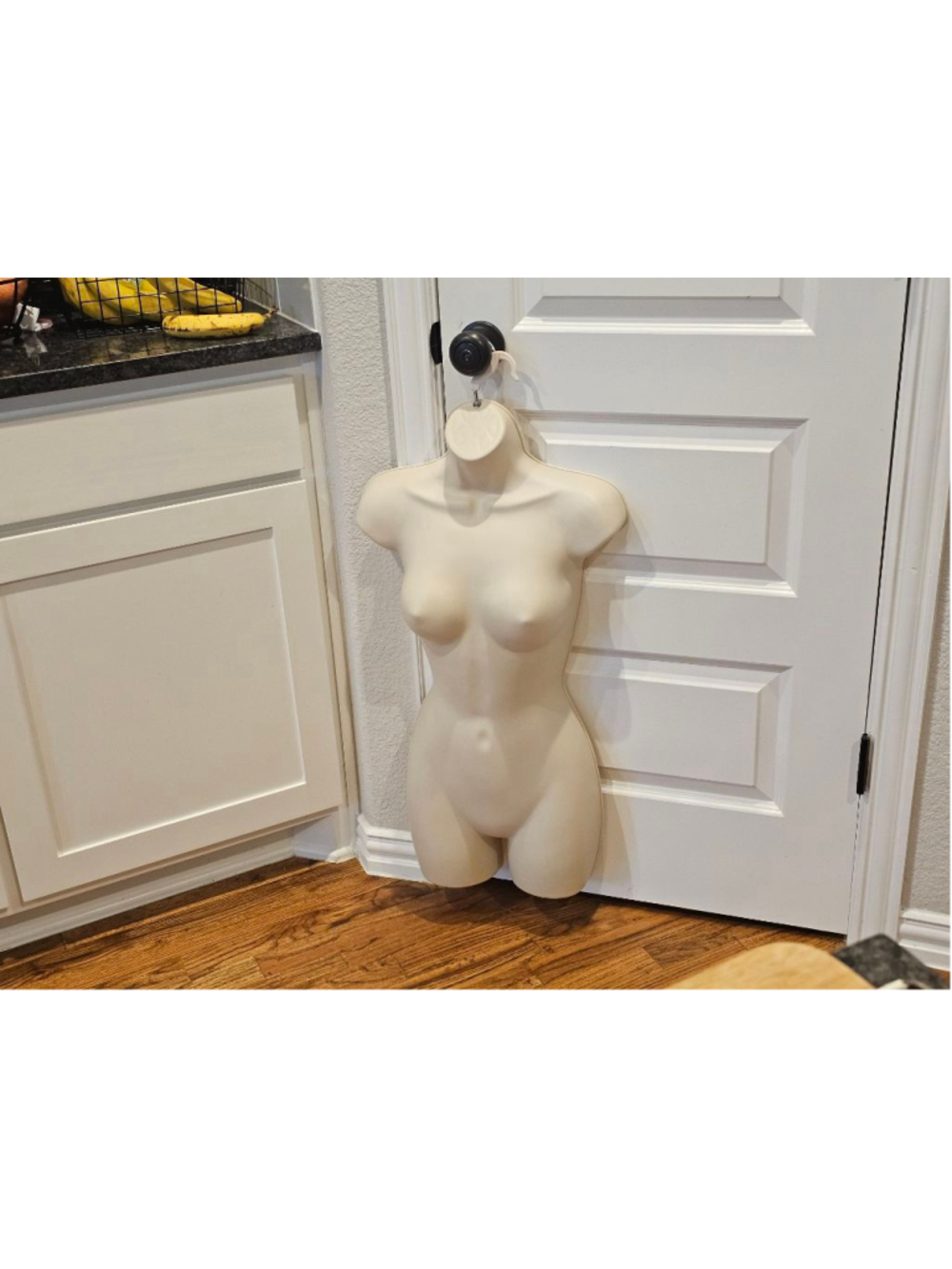 Female Mannequin Hip Long Torso Hollow Back Body Form w/360° Hook for Display